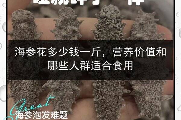 海参花多少钱一斤,营养价值和哪些人群适合食用