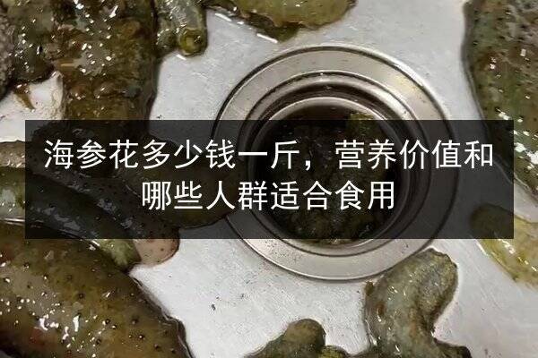 海参花多少钱一斤,营养价值和哪些人群适合食用
