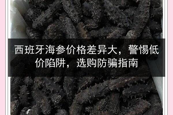 西班牙海参价格差异大,警惕低价陷阱,选购防骗指南