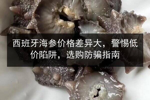 西班牙海参价格差异大,警惕低价陷阱,选购防骗指南