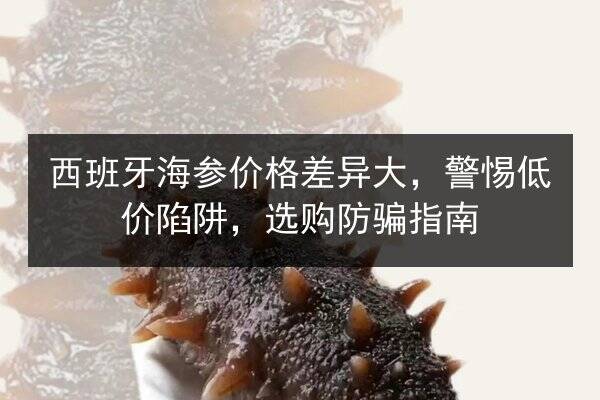 西班牙海参价格差异大,警惕低价陷阱,选购防骗指南