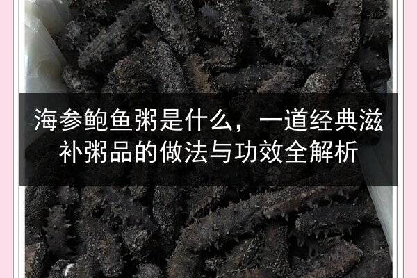 海参鲍鱼粥是什么，一道经典滋补粥品的做法与功效全解析