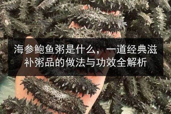 海参鲍鱼粥是什么，一道经典滋补粥品的做法与功效全解析