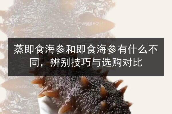 蒸即食海参和即食海参有什么不同,辨别技巧与选购对比