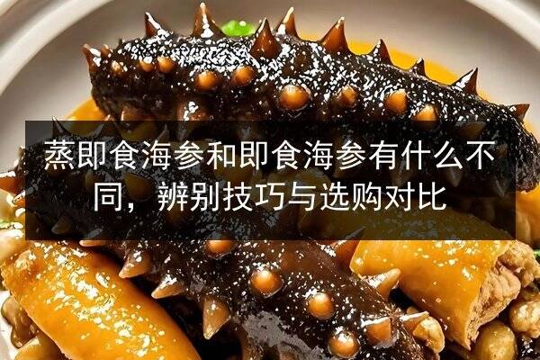 蒸即食海参和即食海参有什么不同,辨别技巧与选购对比