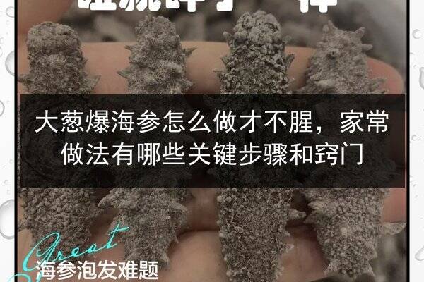 大葱爆海参怎么做才不腥,家常做法有哪些关键步骤和窍门