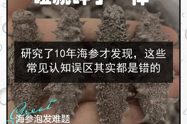研究了10年海参才发现，这些常见认知误区其实都是错的