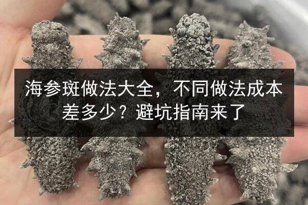 海参斑做法大全,不同做法成本差多少?避坑指南来了