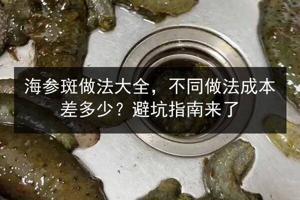 海参斑做法大全,不同做法成本差多少?避坑指南来了
