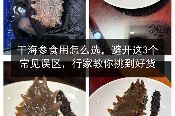 干海参食用怎么选,避开这3个常见误区,行家教你挑到好货