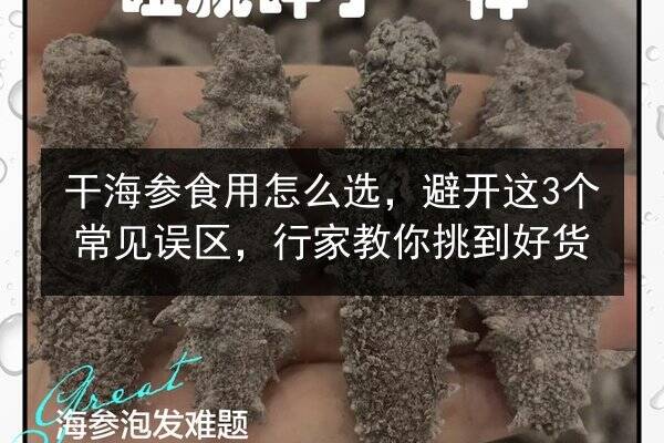 干海参食用怎么选,避开这3个常见误区,行家教你挑到好货