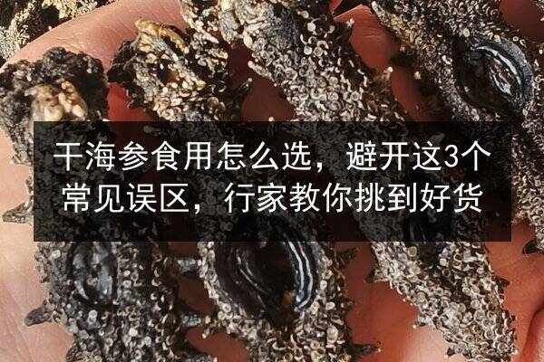 干海参食用怎么选,避开这3个常见误区,行家教你挑到好货