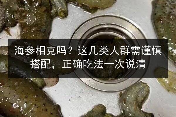 海参相克吗?这几类人群需谨慎搭配,正确吃法一次说清