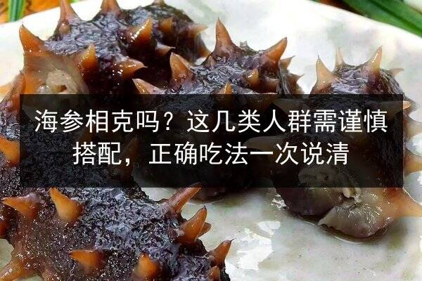 海参相克吗?这几类人群需谨慎搭配,正确吃法一次说清