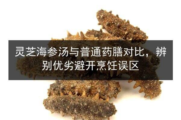 灵芝海参汤与普通药膳对比，辨别优劣避开烹饪误区