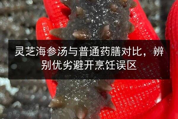 灵芝海参汤与普通药膳对比，辨别优劣避开烹饪误区