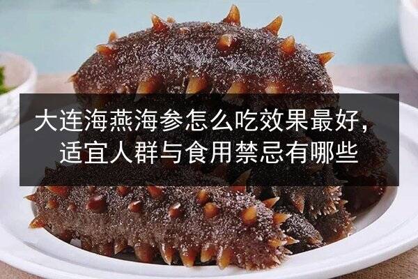 大连海燕海参怎么吃效果最好,适宜人群与食用禁忌有哪些