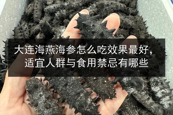 大连海燕海参怎么吃效果最好,适宜人群与食用禁忌有哪些