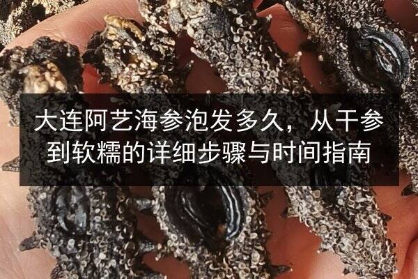 大连阿艺海参泡发多久，从干参到软糯的详细步骤与时间指南