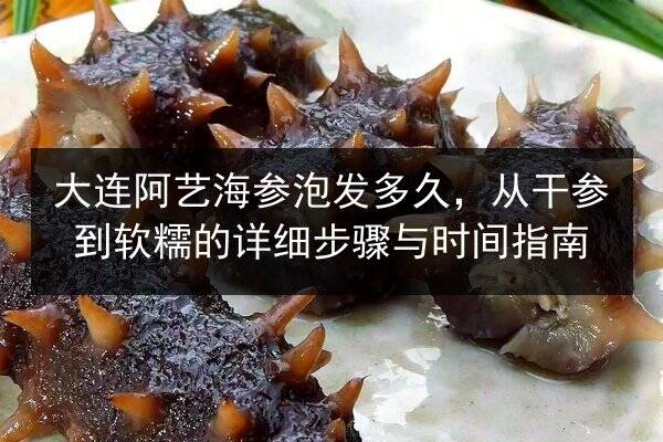 大连阿艺海参泡发多久，从干参到软糯的详细步骤与时间指南