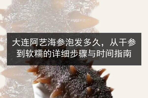 大连阿艺海参泡发多久，从干参到软糯的详细步骤与时间指南