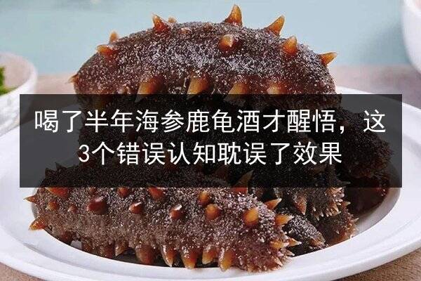 喝了半年海参鹿龟酒才醒悟,这3个错误认知耽误了效果