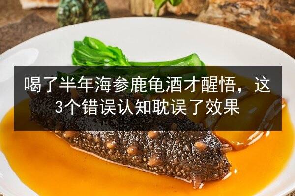 喝了半年海参鹿龟酒才醒悟,这3个错误认知耽误了效果