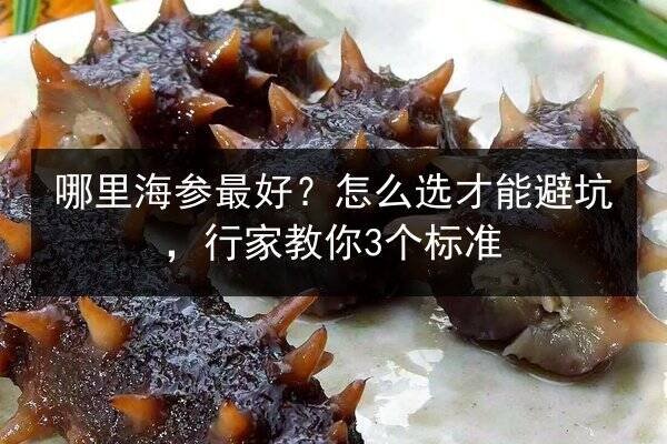 哪里海参最好？怎么选才能避坑，行家教你3个标准