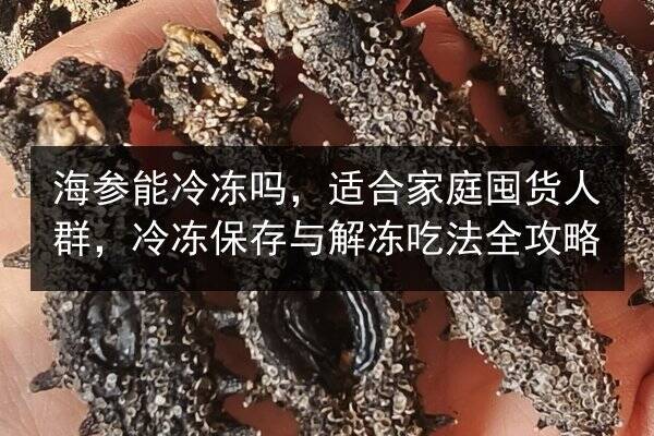 海参能冷冻吗,适合家庭囤货人群,冷冻保存与解冻吃法全攻略