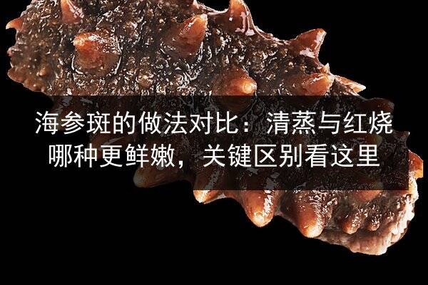 海参斑的做法对比:清蒸与红烧哪种更鲜嫩,关键区别看这里