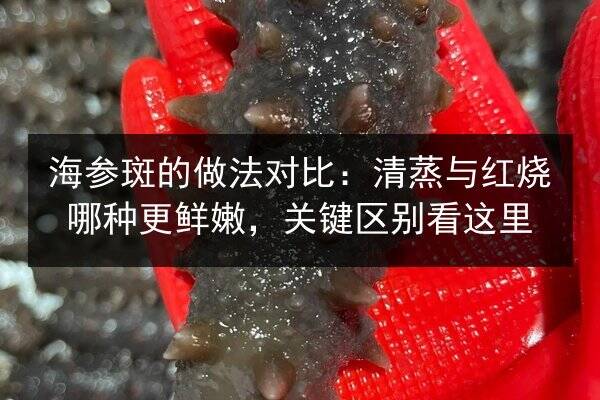 海参斑的做法对比:清蒸与红烧哪种更鲜嫩,关键区别看这里