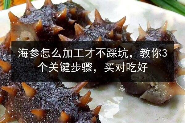 海参怎么加工才不踩坑,教你3个关键步骤,买对吃好
