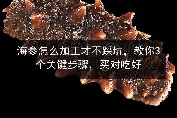 海参怎么加工才不踩坑,教你3个关键步骤,买对吃好