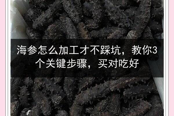 海参怎么加工才不踩坑,教你3个关键步骤,买对吃好