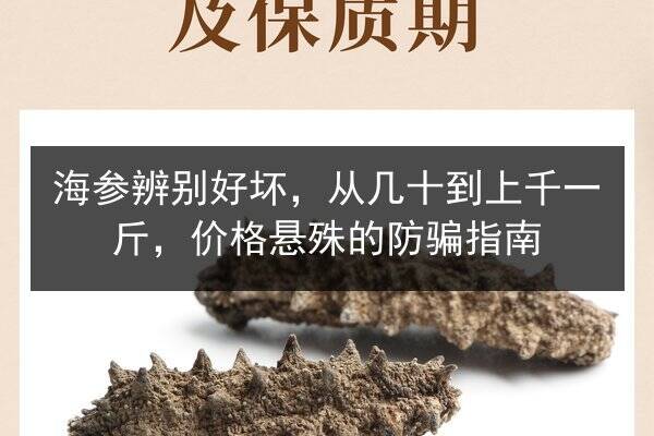 海参辨别好坏,从几十到上千一斤,价格悬殊的防骗指南