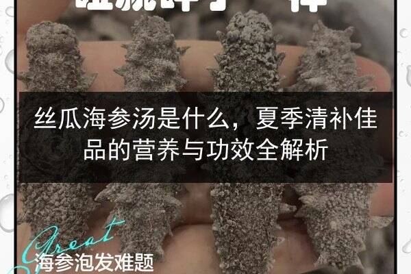 丝瓜海参汤是什么,夏季清补佳品的营养与功效全解析