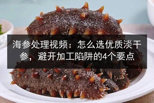 海参处理视频:怎么选优质淡干参,避开加工陷阱的4个要点