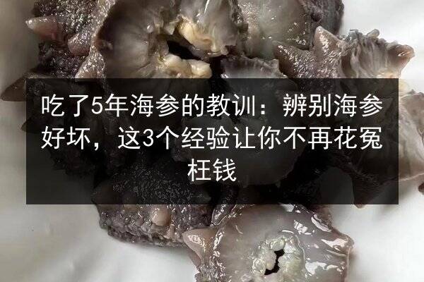 吃了5年海参的教训:辨别海参好坏,这3个经验让你不再花冤枉钱