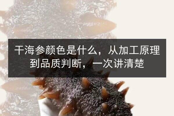 干海参颜色是什么，从加工原理到品质判断，一次讲清楚