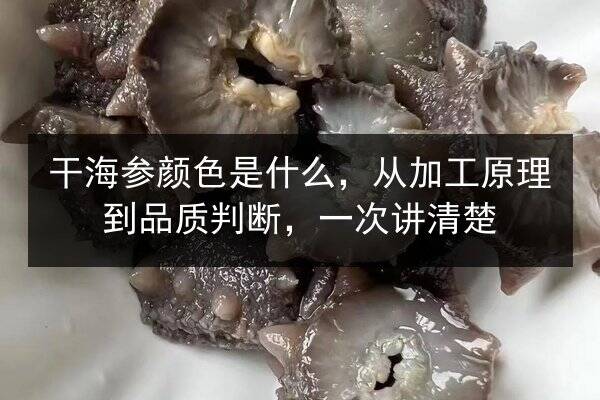 干海参颜色是什么，从加工原理到品质判断，一次讲清楚