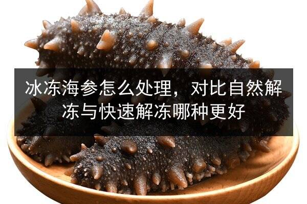 冰冻海参怎么处理,对比自然解冻与快速解冻哪种更好