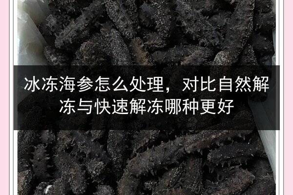 冰冻海参怎么处理,对比自然解冻与快速解冻哪种更好