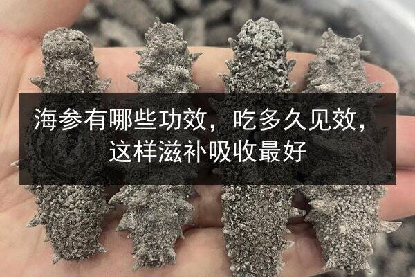 海参有哪些功效,吃多久见效,这样滋补吸收最好