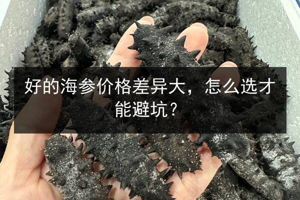 好的海参价格差异大,怎么选才能避坑?