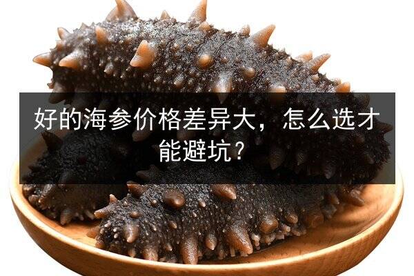 好的海参价格差异大,怎么选才能避坑?
