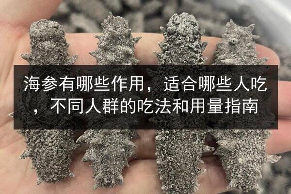 海参有哪些作用,适合哪些人吃,不同人群的吃法和用量指南
