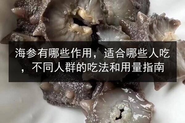 海参有哪些作用,适合哪些人吃,不同人群的吃法和用量指南