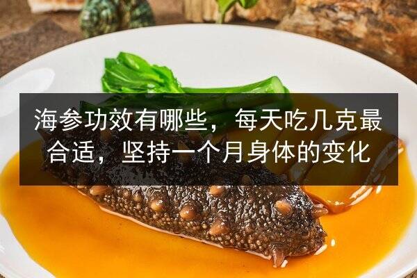 海参功效有哪些,每天吃几克最合适,坚持一个月身体的变化