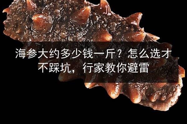 海参大约多少钱一斤?怎么选才不踩坑,行家教你避雷