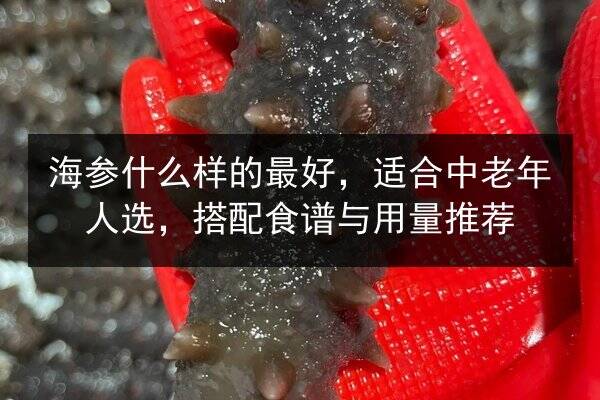 海参什么样的最好，适合中老年人选，搭配食谱与用量推荐